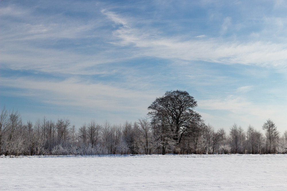 Фотографія Простий зимовий пейзаж / Лис Павло / photographers.ua