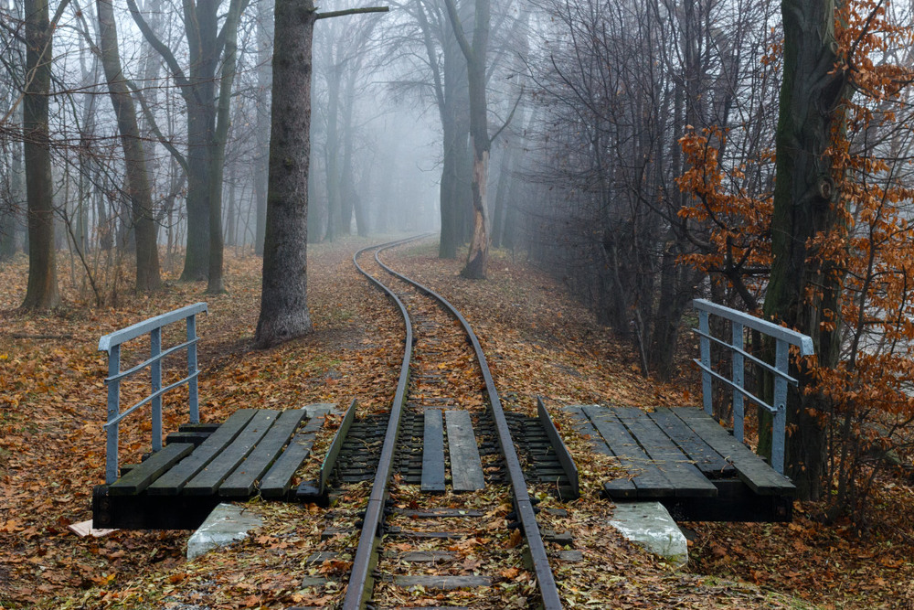 Фотографія Дитяча залізниця у тумані / Лис Павло / photographers.ua