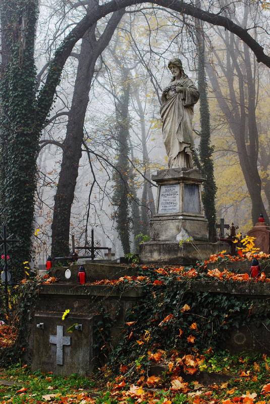 Фотографія Старе поховання / Лис Павло / photographers.ua
