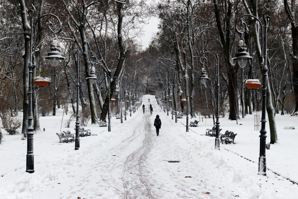 Фотографія Зимовий парк / Лис Павло / photographers.ua
