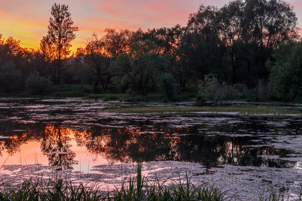 Фотографія Сонце заходить / Лис Павло / photographers.ua