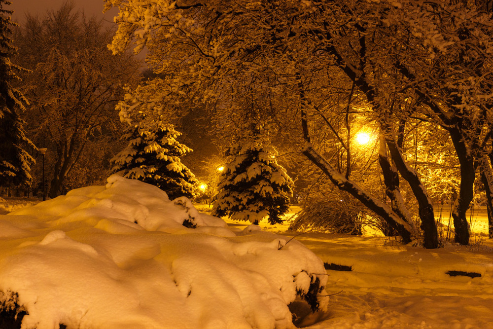 Фотографія Парк у світлі ліхтарів / Лис Павло / photographers.ua