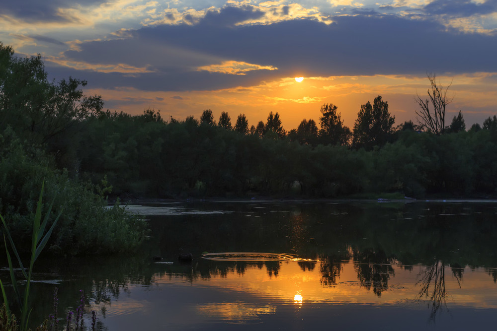 Фотографія Надвечір'я / Лис Павло / photographers.ua