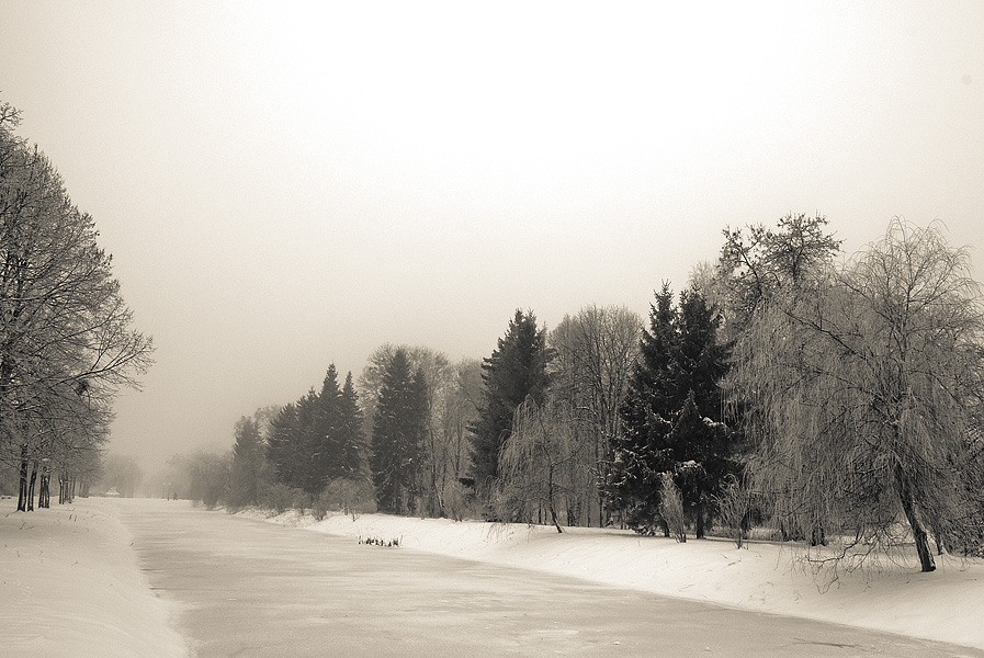 Фотографія ... / Andriy Hlynskyy / photographers.ua