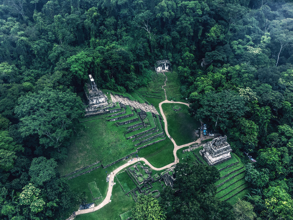 Фотографія Palenque, Mexico с высоты / Eugene Vik / photographers.ua
