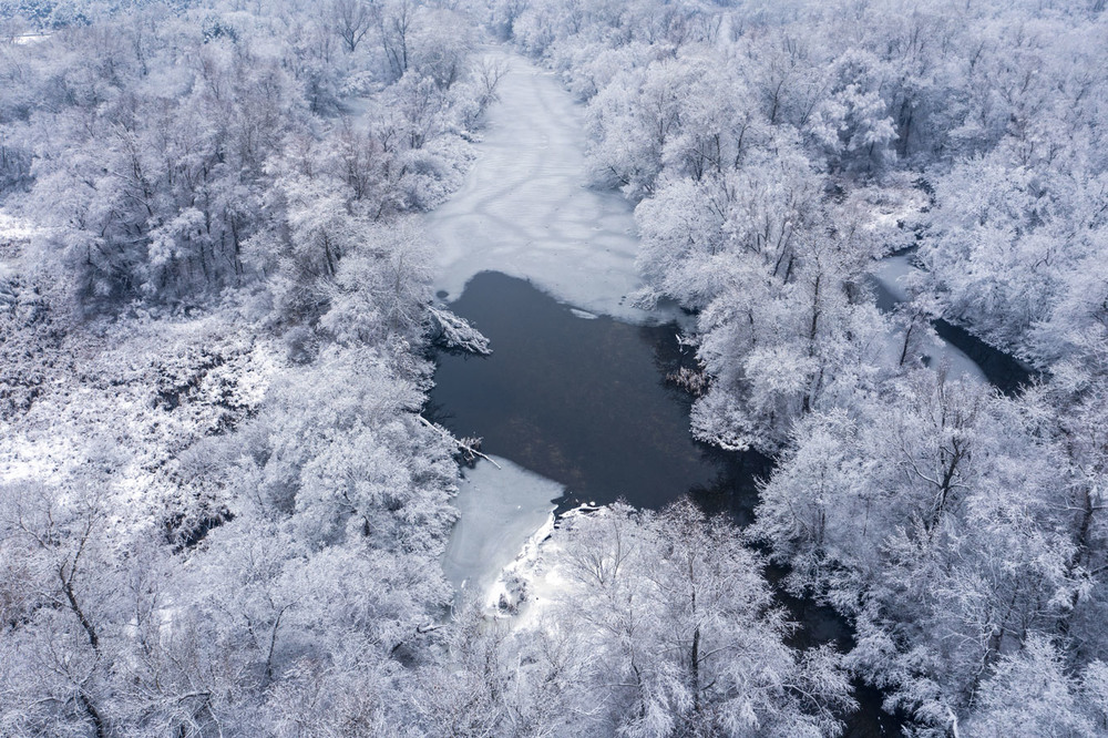 Фотографія Зимові фотоетюди / Eugene Vik / photographers.ua