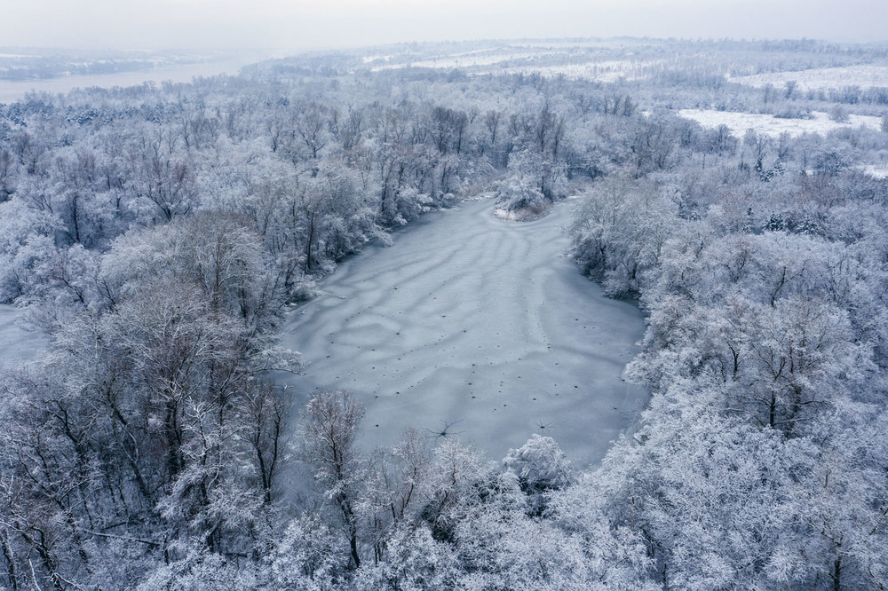 Фотографія Зимові фотоетюди / Eugene Vik / photographers.ua