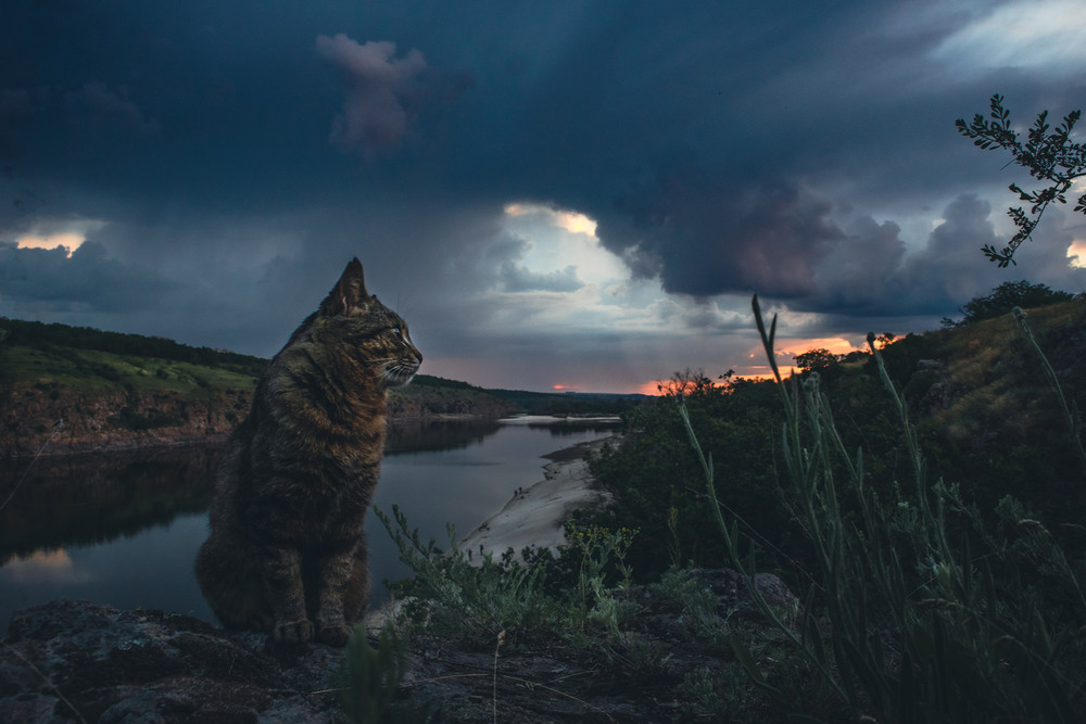 Фотографія Пейзаж / Eugene Vik / photographers.ua