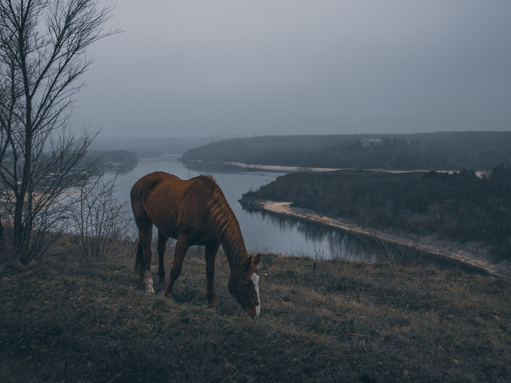 Фотографія Пейзаж / Eugene Vik / photographers.ua