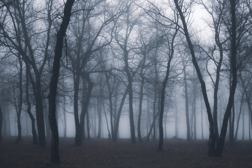 Фотографія Пейзаж / Eugene Vik / photographers.ua