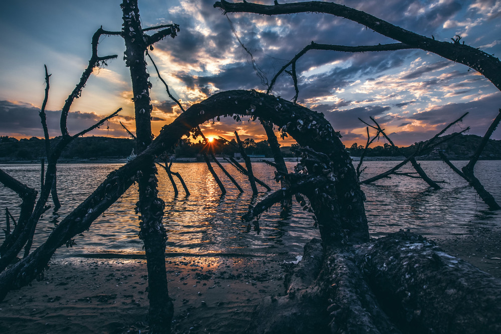 Фотографія Затоплені ліси минулого. / Eugene Vik / photographers.ua