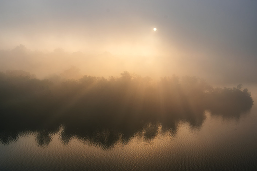 Фотографія Вересневий туманний ранок. / Eugene Vik / photographers.ua