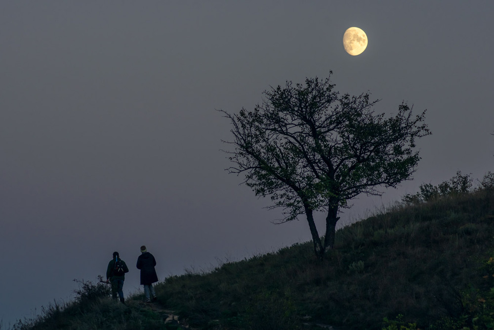 Фотографія Прогулянки під місяцем / Eugene Vik / photographers.ua