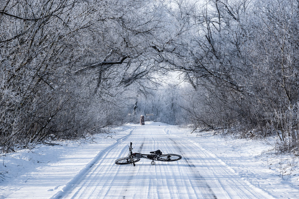 Фотографія Зимний пленер / Eugene Vik / photographers.ua