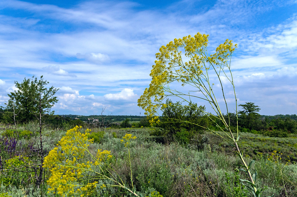 Фотографія Пейзаж / Eugene Vik / photographers.ua