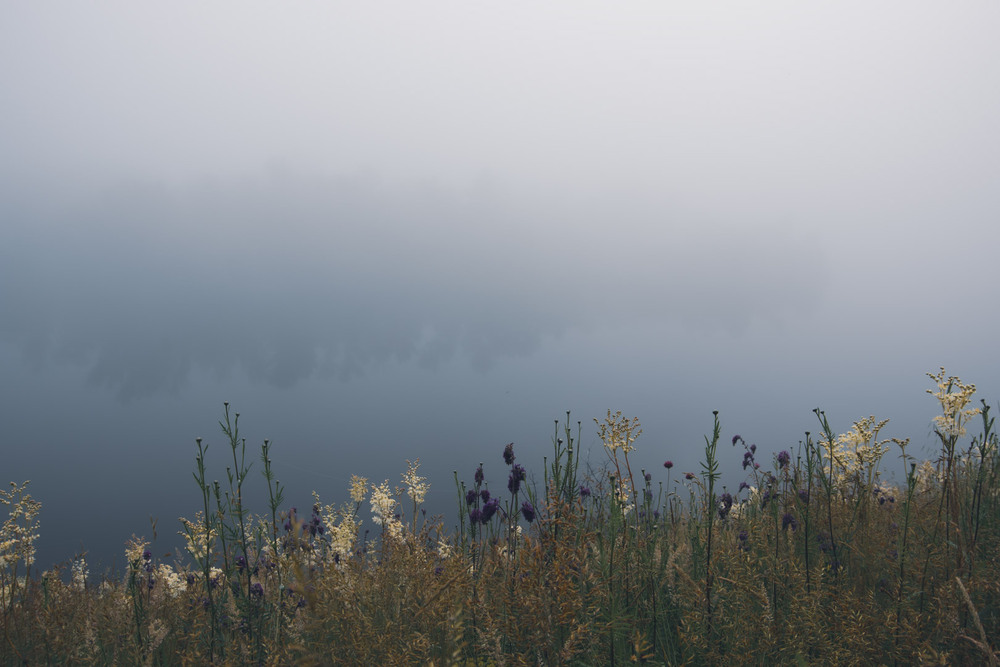 Фотографія Туманний ранок на Дніпрі / Eugene Vik / photographers.ua