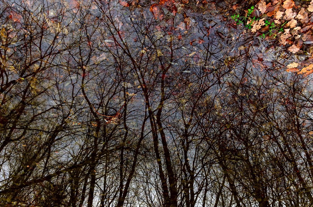 Фотографія Пейзаж / Eugene Vik / photographers.ua