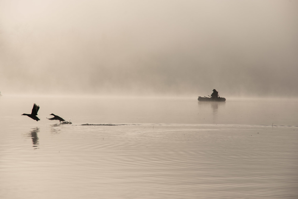 Фотографія Силуэты в тумане / Eugene Vik / photographers.ua