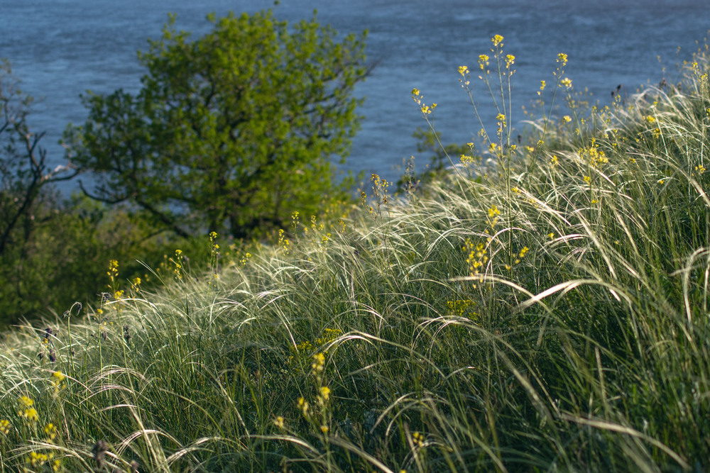 Фотографія Пейзаж / Eugene Vik / photographers.ua