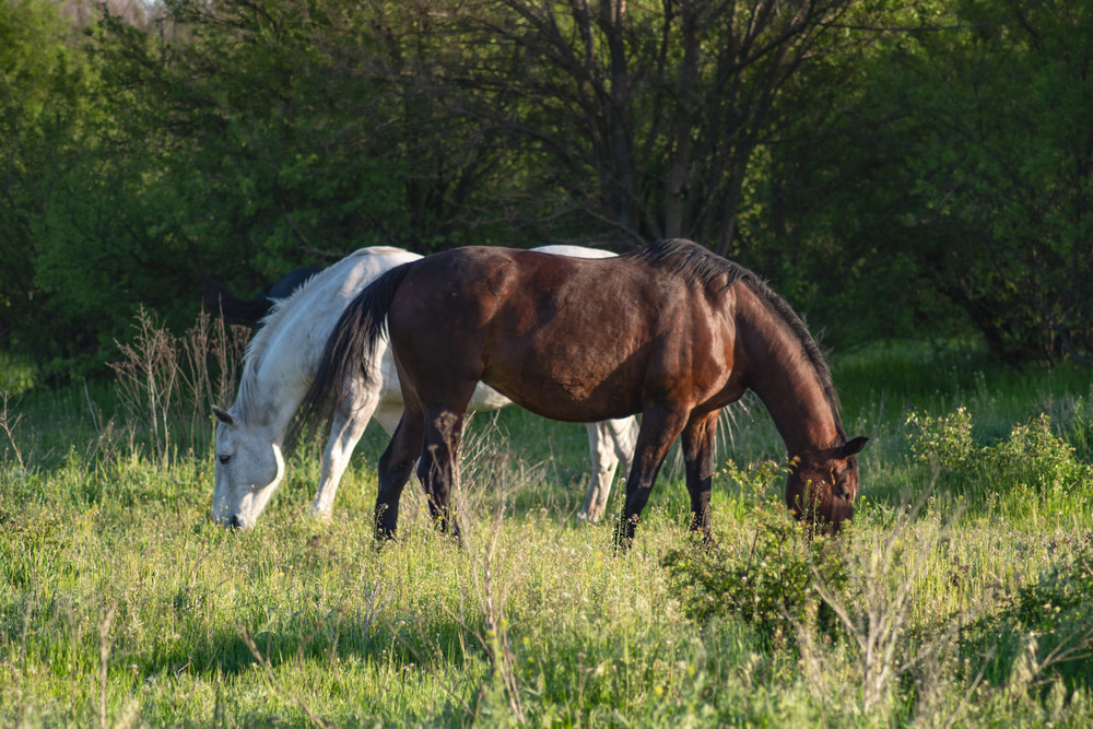 Фотографія Пейзаж / Eugene Vik / photographers.ua
