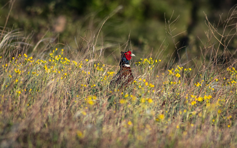 Фотографія Пейзаж / Eugene Vik / photographers.ua