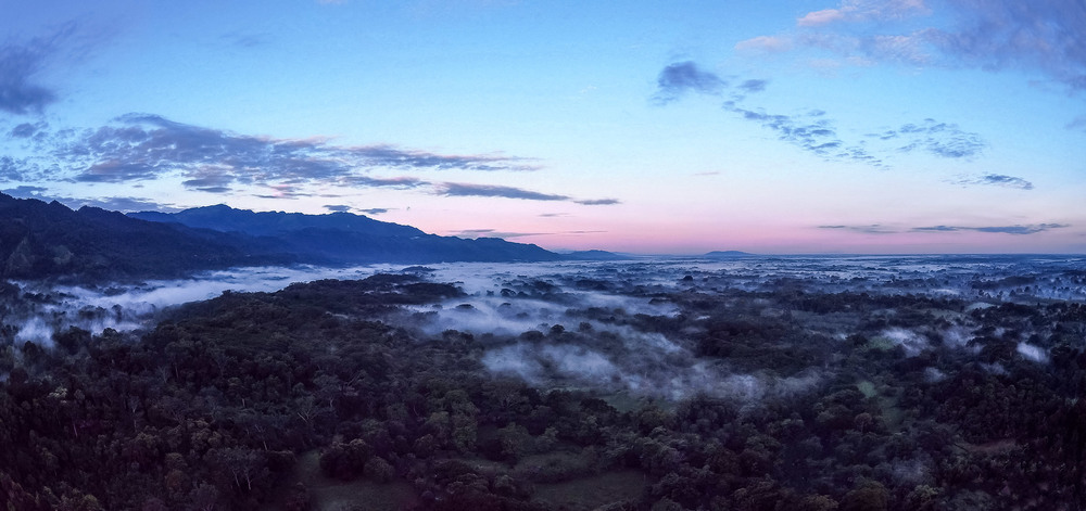 Фотографія Palenque, Mexico, утро над джунглями / Eugene Vik / photographers.ua