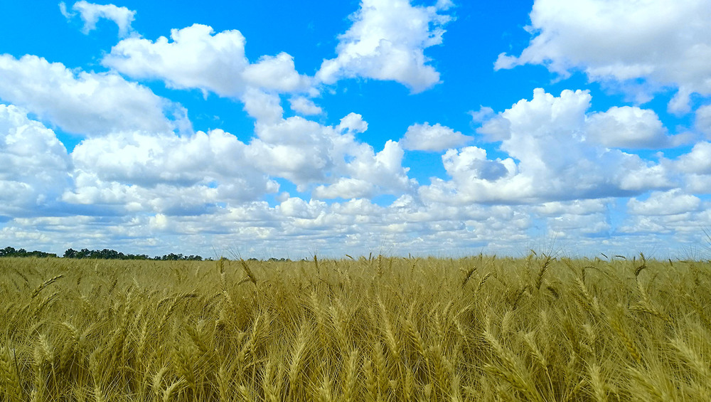 Фотографія Пейзаж / Eugene Vik / photographers.ua
