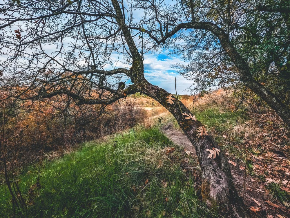 Фотографія Пейзаж / Eugene Vik / photographers.ua