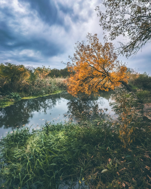 Фотографія Пейзаж / Eugene Vik / photographers.ua