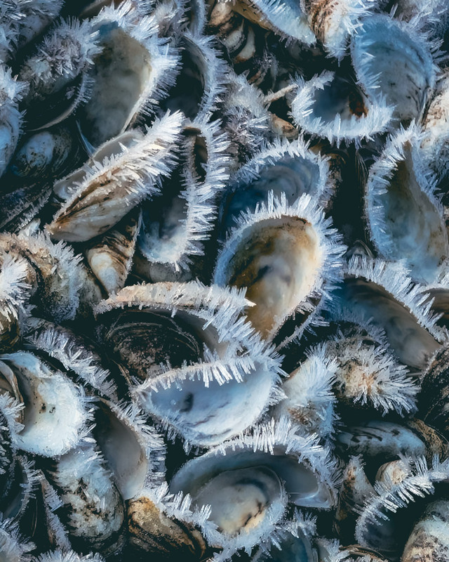 Фотографія Натюрморт / Eugene Vik / photographers.ua