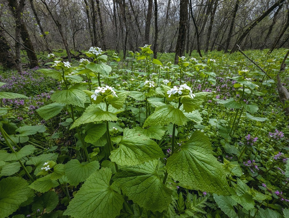 Фотографія Пейзаж / Eugene Vik / photographers.ua