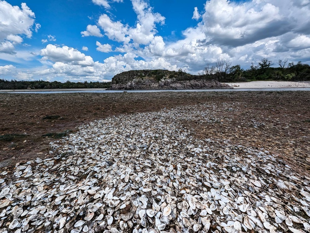 Фотографія Пейзаж / Eugene Vik / photographers.ua