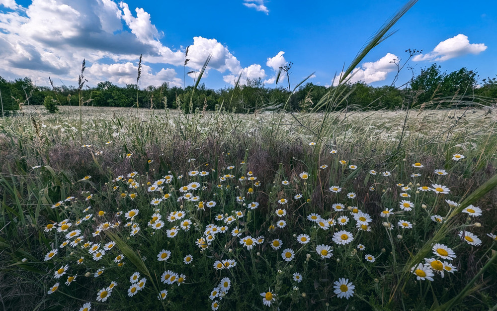 Фотографія Пейзаж / Eugene Vik / photographers.ua