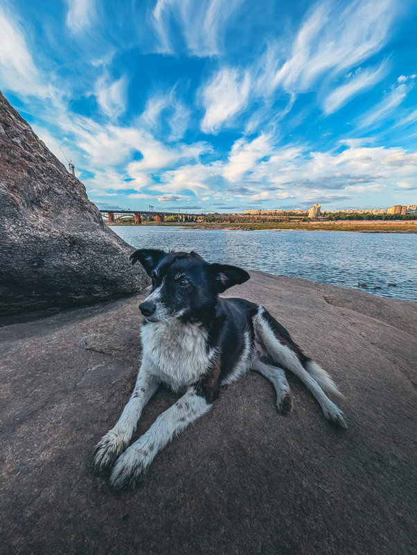 Фотографія Жанр / Eugene Vik / photographers.ua