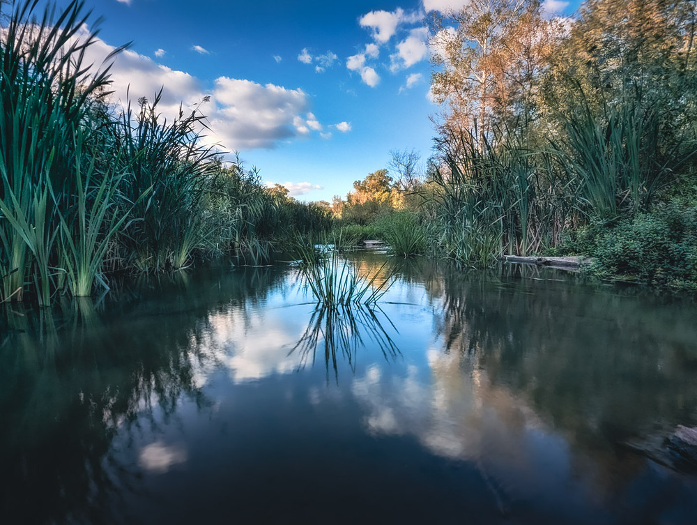 Фотографія Пейзаж / Eugene Vik / photographers.ua