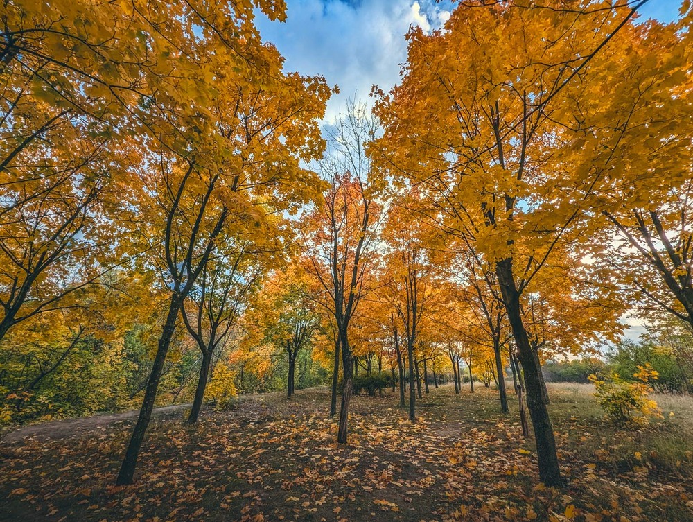 Фотографія Пейзаж / Eugene Vik / photographers.ua