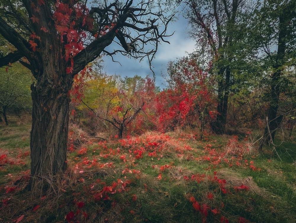 Фотографія Пейзаж / Eugene Vik / photographers.ua
