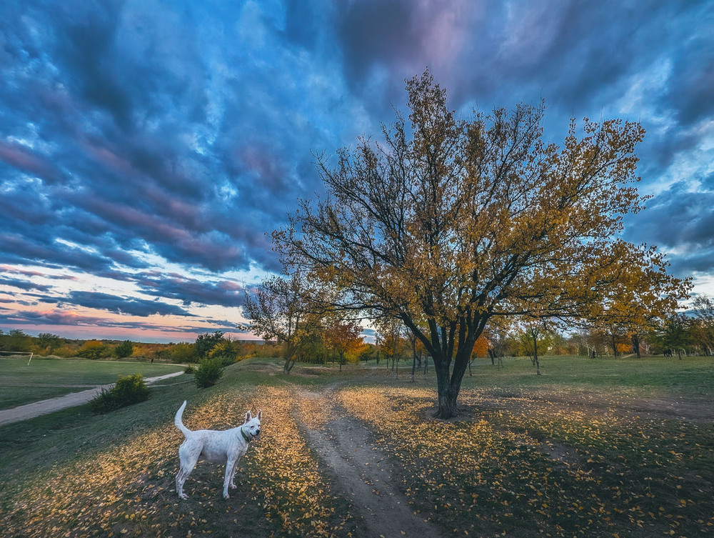 Фотографія Пейзаж / Eugene Vik / photographers.ua