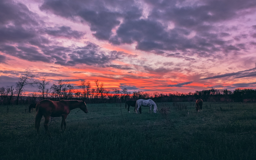 Фотографія Пейзаж / Eugene Vik / photographers.ua