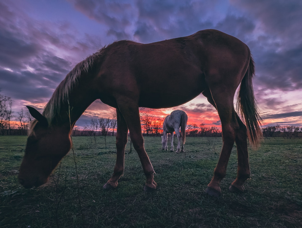 Фотографія Пейзаж / Eugene Vik / photographers.ua