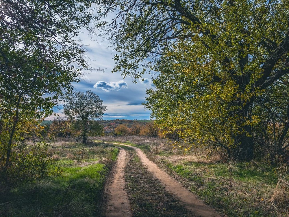 Фотографія Пейзаж / Eugene Vik / photographers.ua