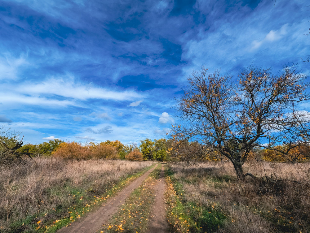Фотографія Пейзаж / Eugene Vik / photographers.ua