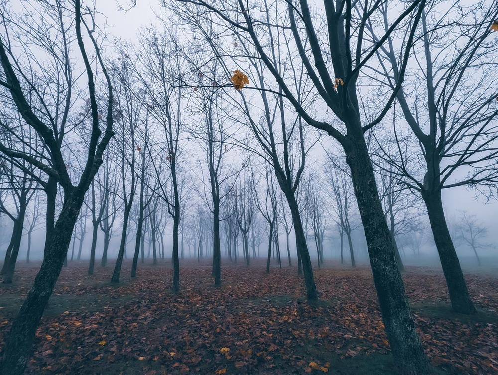 Фотографія Пейзаж / Eugene Vik / photographers.ua