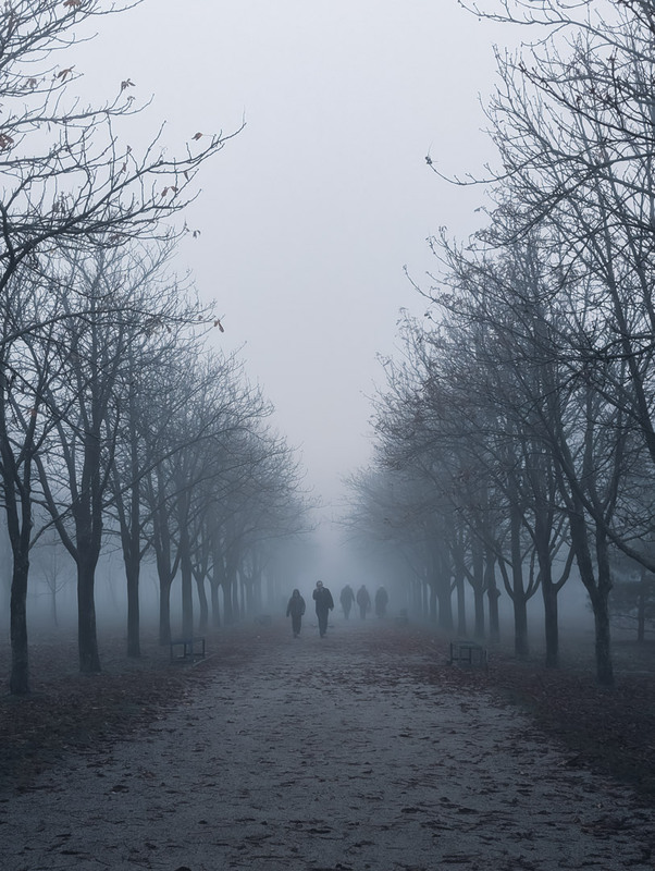 Фотографія Пейзаж / Eugene Vik / photographers.ua