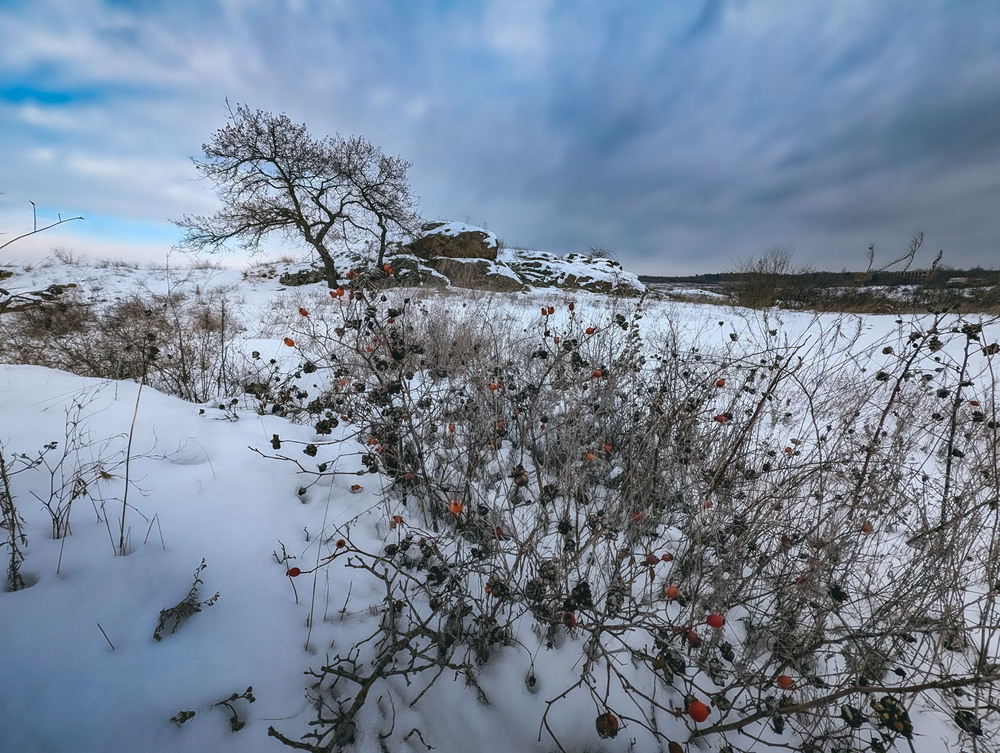 Фотографія Пейзаж / Eugene Vik / photographers.ua