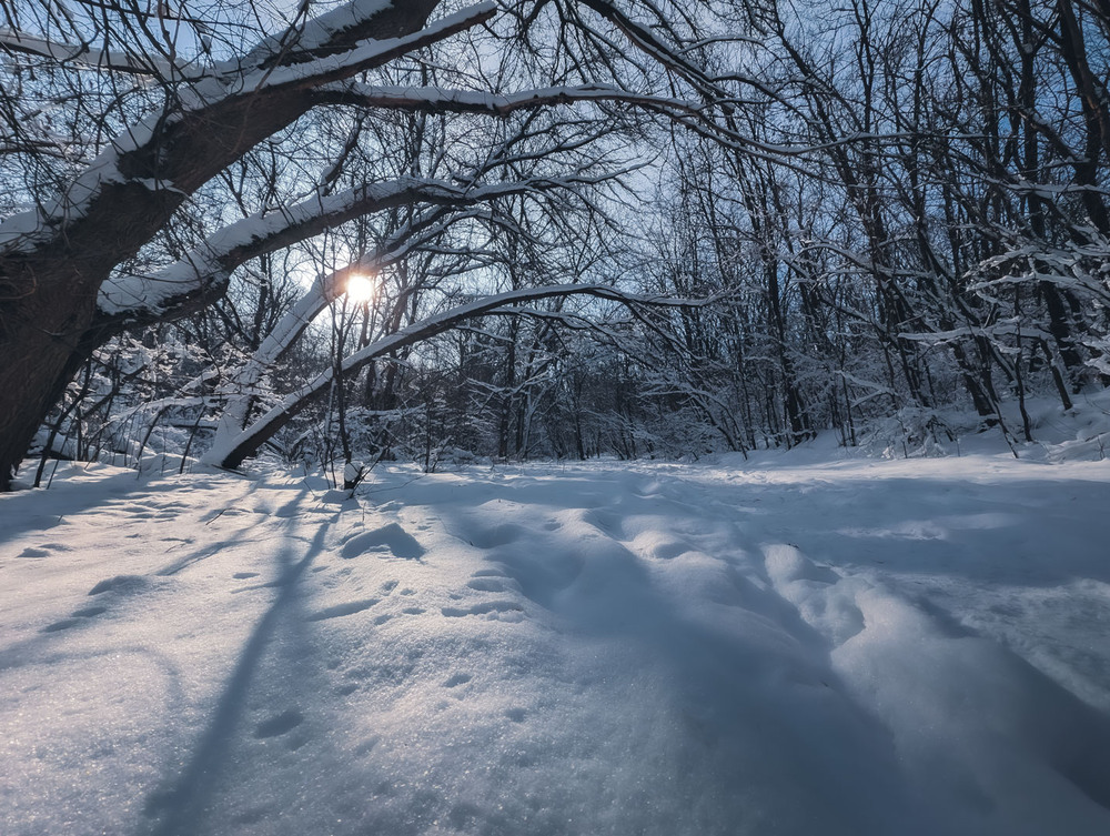 Фотографія Пейзаж / Eugene Vik / photographers.ua