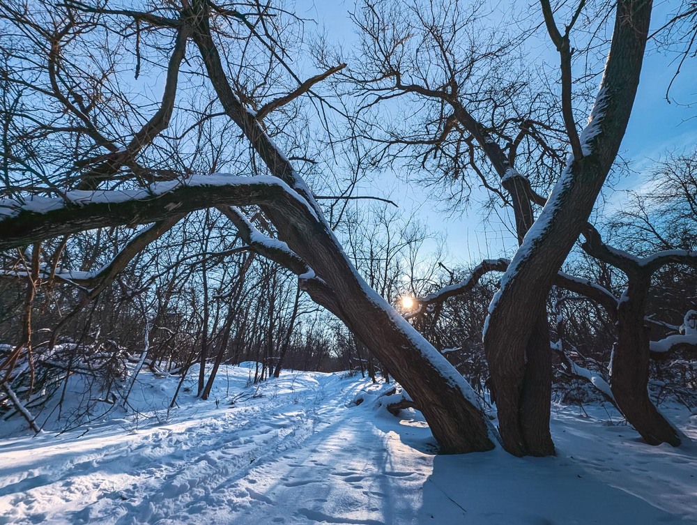 Фотографія Пейзаж / Eugene Vik / photographers.ua