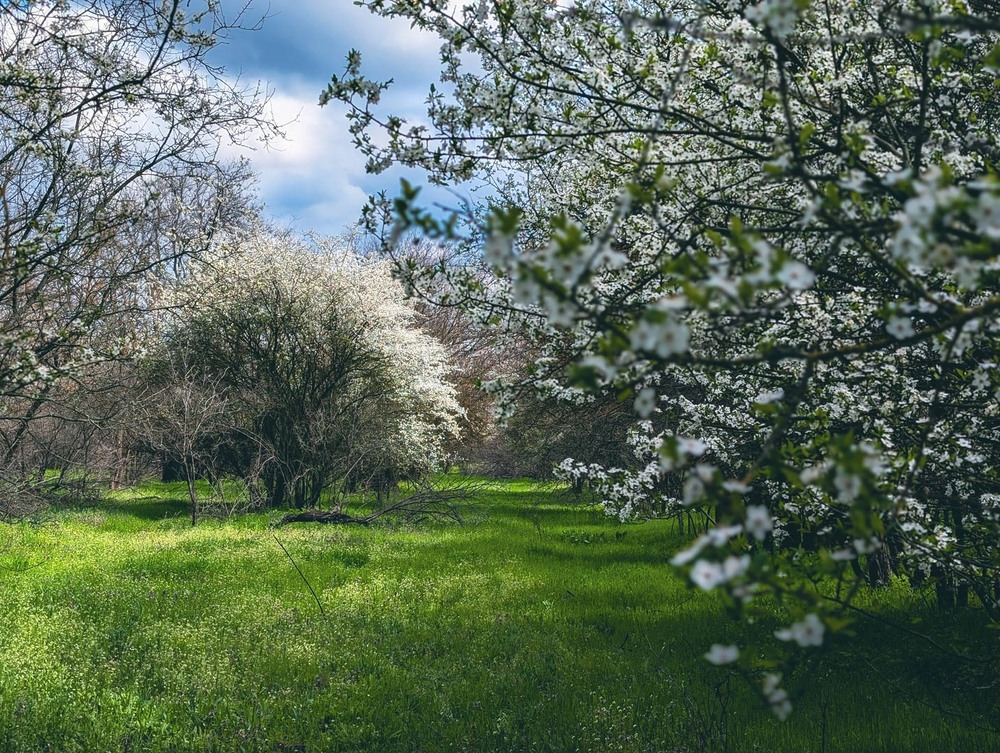 Фотографія Пейзаж / Eugene Vik / photographers.ua
