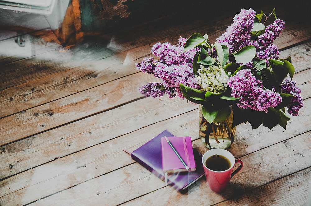 Фотографія Натюрморт / Olha Kaminska / photographers.ua