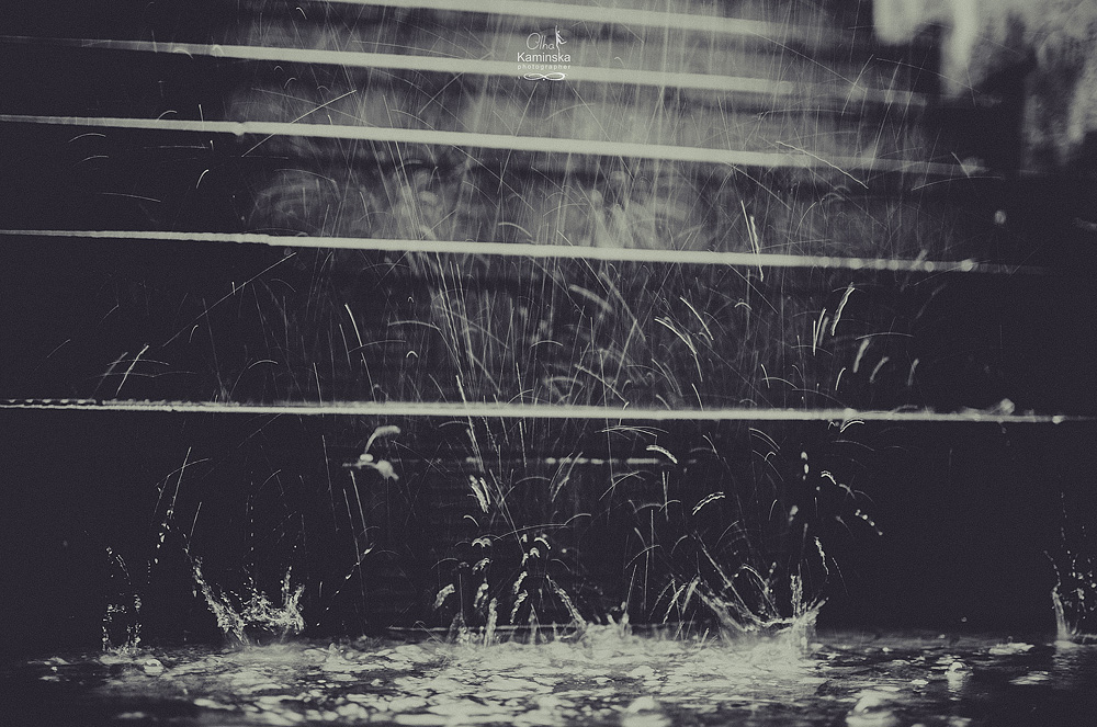 Фотографія Разное / Olha Kaminska / photographers.ua